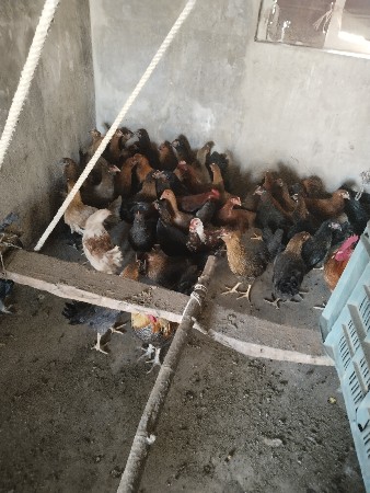 थंबनेल 2