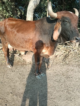 थंबनेल 2