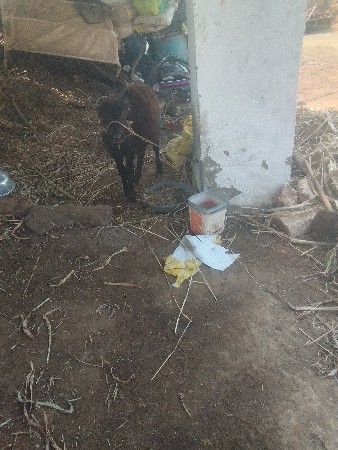 થંબનેલ 3