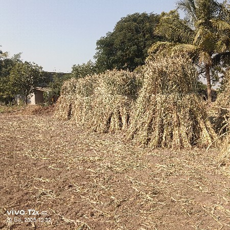 વેચવું છે