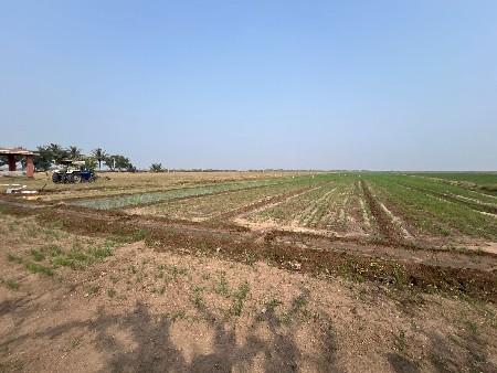 જમીન વેચવાની છે 
સોમનાથ દ્વારકા