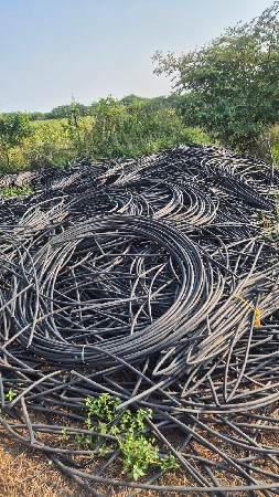 थंबनेल 5