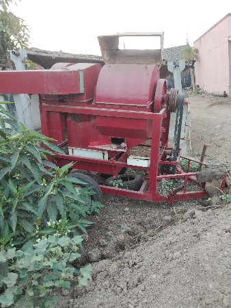 બધા જારી ચારણા છે