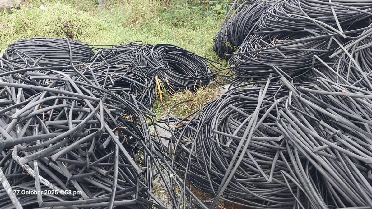 थंबनेल 5