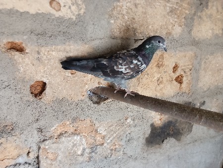 थंबनेल 3