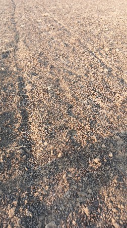 જમીન વેચવાની છે વીઘા 120