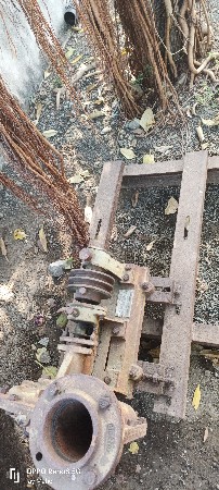 પાટલો +પખો