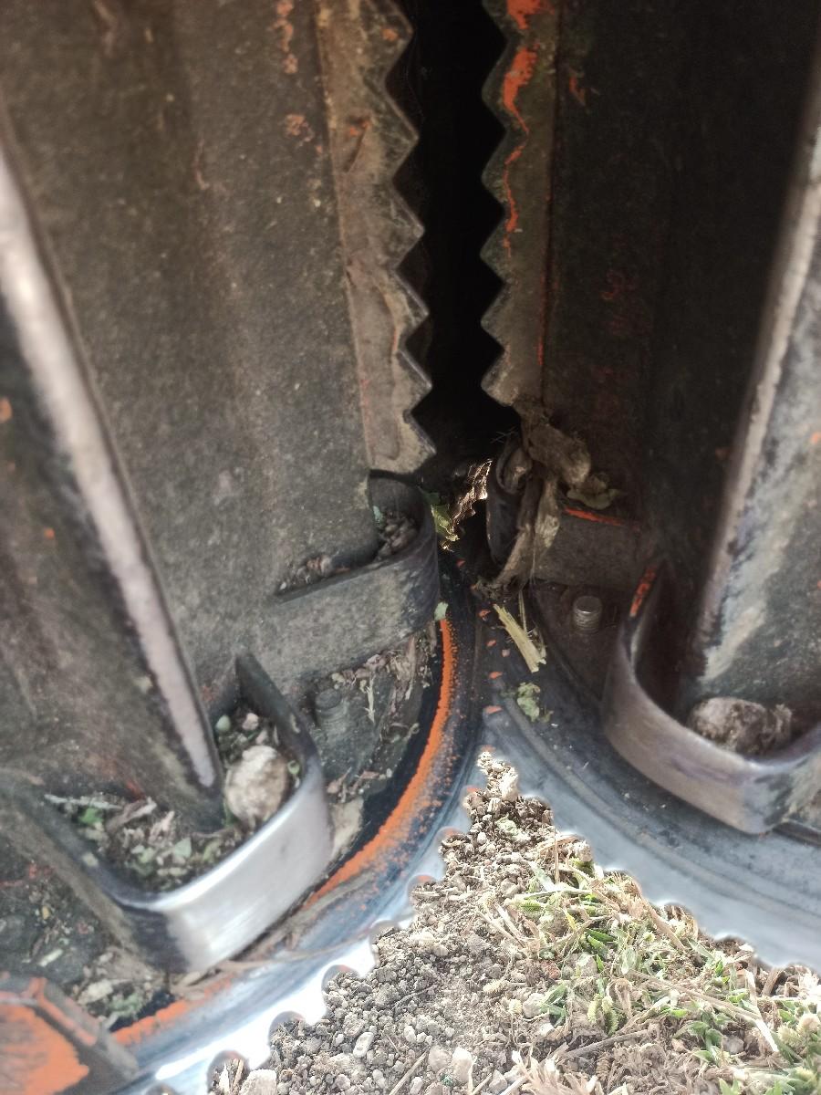 थंबनेल 2