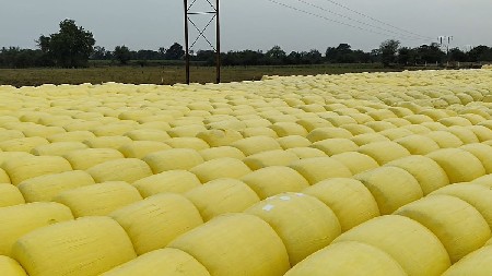 🌽 *લીલી મકાઈનું સાઇલેજ*