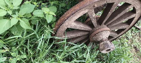 थंबनेल 2