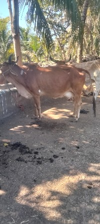 थंबनेल 2