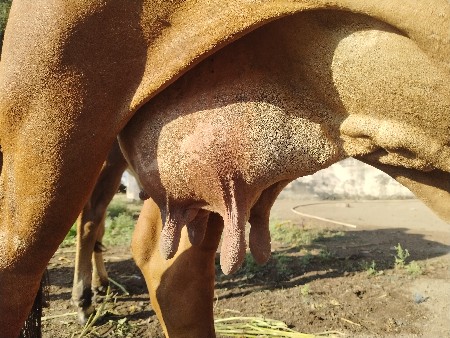 થંબનેલ 3