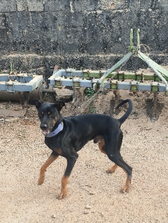 थंबनेल 3