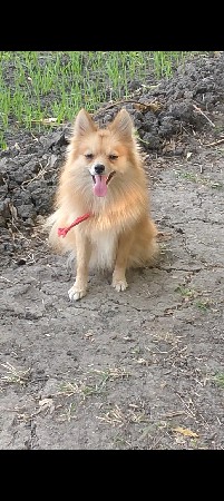 મીટીંગ માટે.સે.વેસવાનો.નથી.