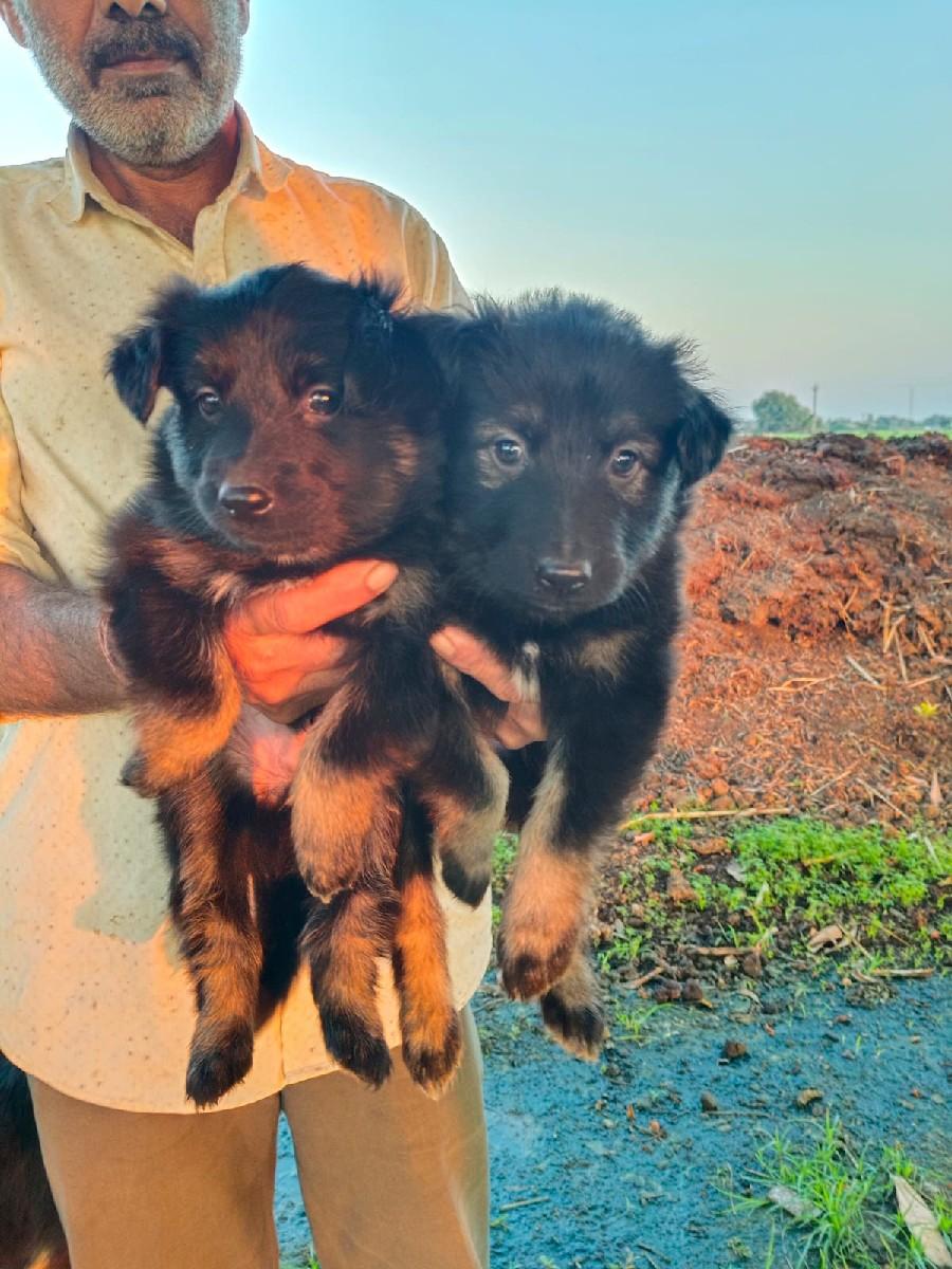 થંબનેલ 2