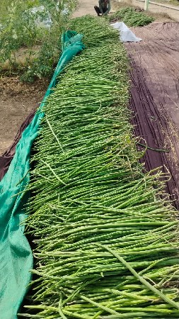 થંબનેલ 4