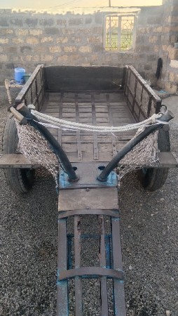 ગાઙૂ વેસવાનુ છે