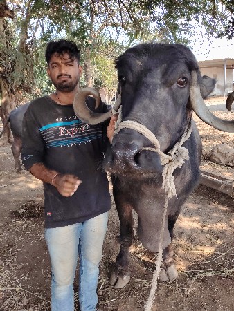 थंबनेल 3