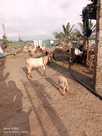 थंबनेल 3