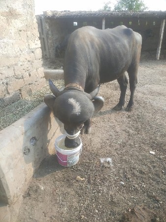 थंबनेल 3