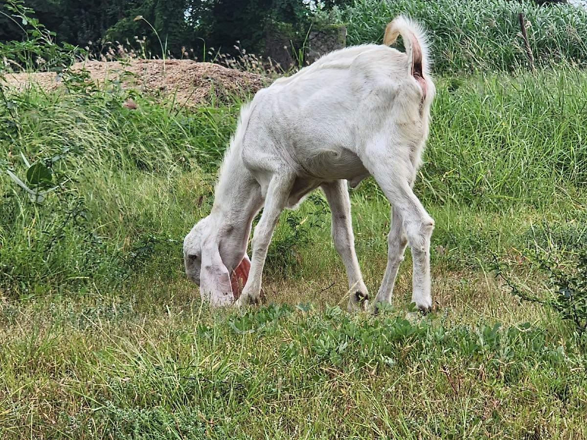 થંબનેલ 2