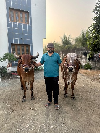 થંબનેલ 2