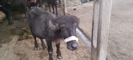 थंबनेल 3