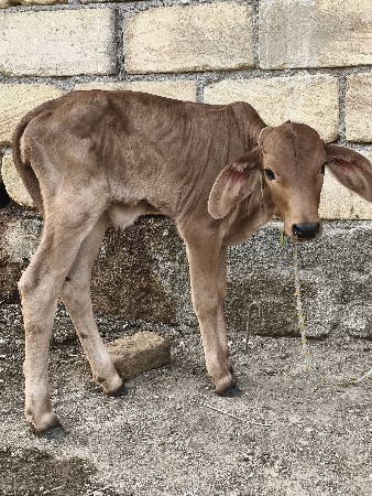 थंबनेल 3