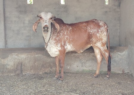 थंबनेल 2