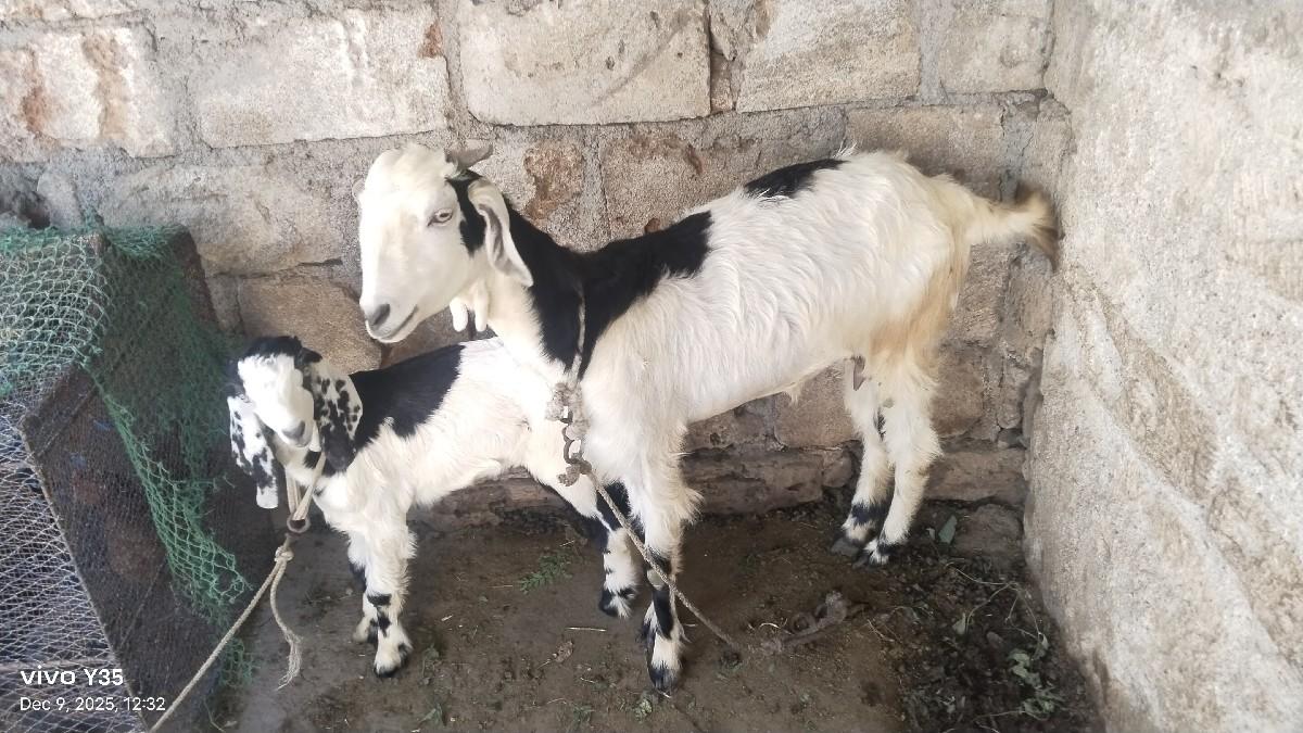 थंबनेल 2