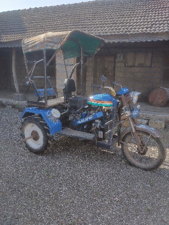 કાલરીયા પ્રવીણ