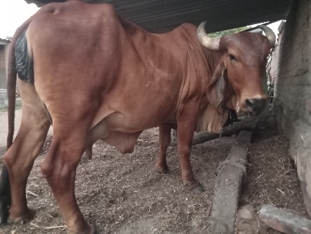 थंबनेल 2