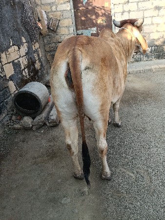 थंबनेल 2