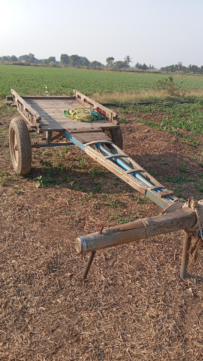 થંબનેલ 3