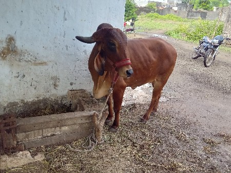 थंबनेल 2