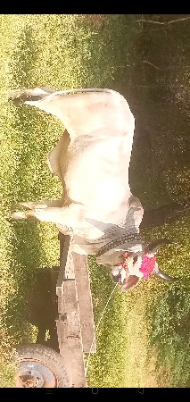 થંબનેલ 5