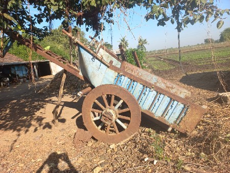 બળદ ગાડુ વેચવાનુ  છે