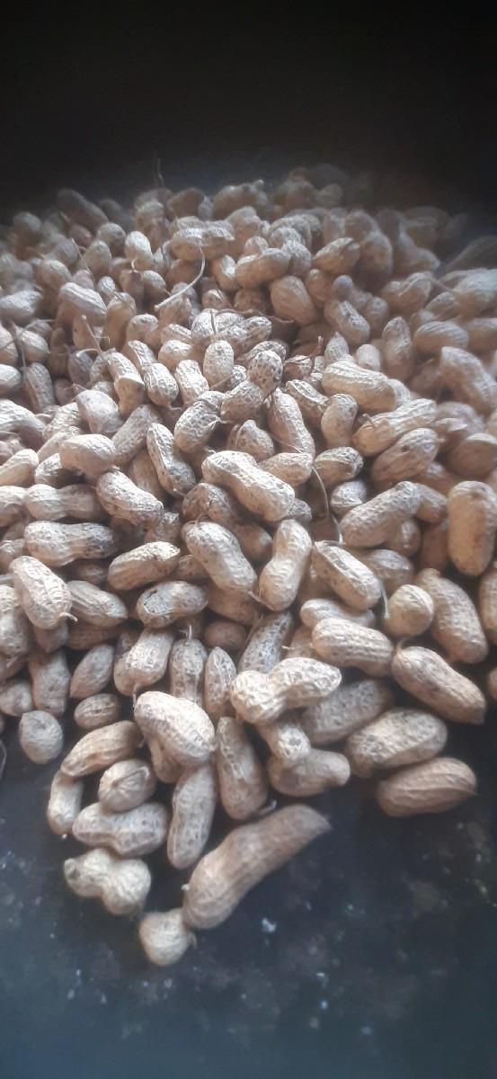 थंबनेल 3