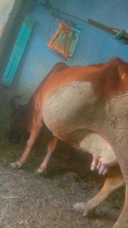 થંબનેલ 2