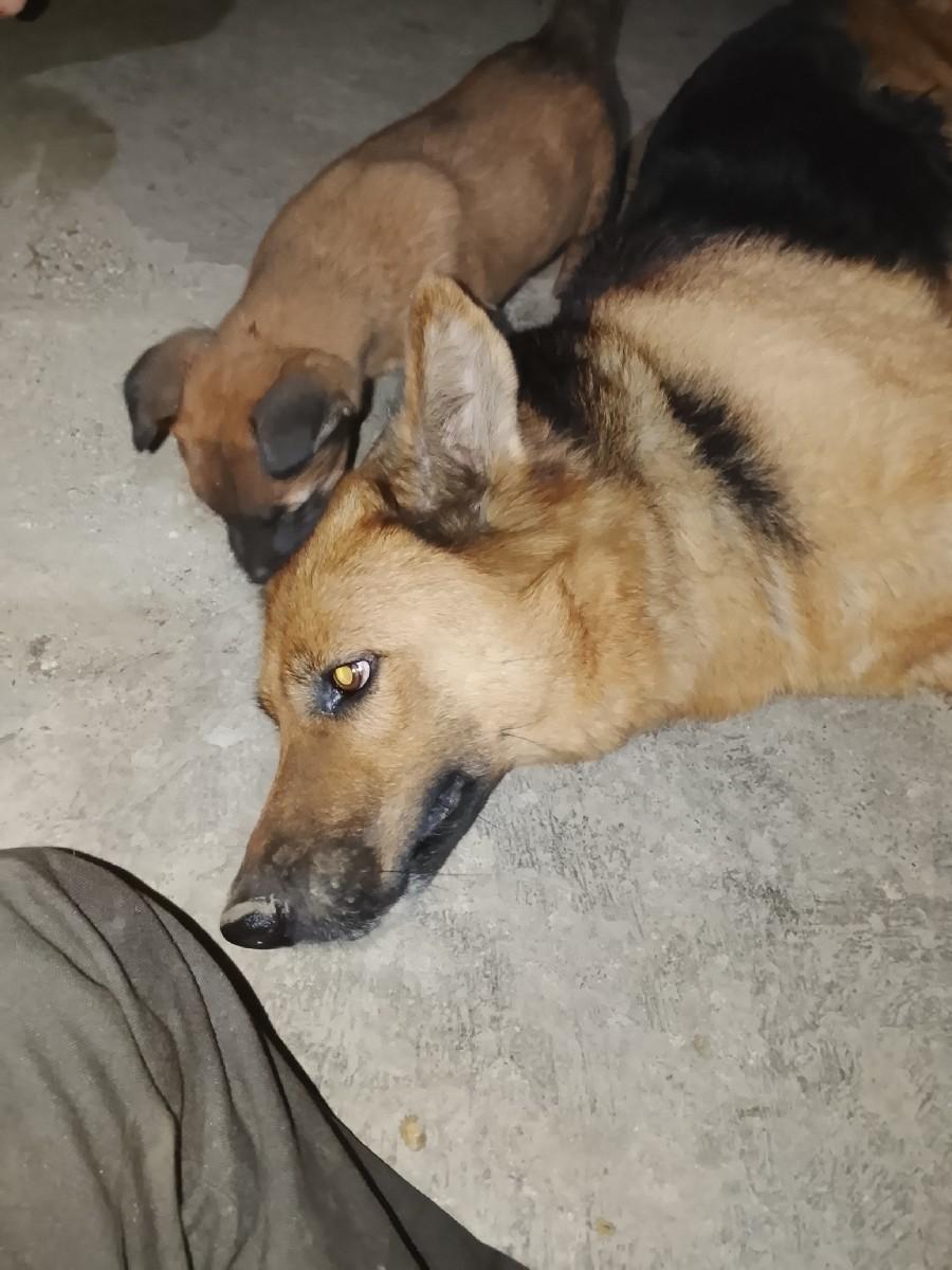 થંબનેલ 2