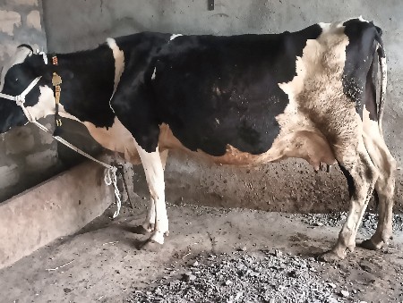 थंबनेल 2