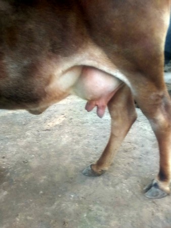 थंबनेल 3