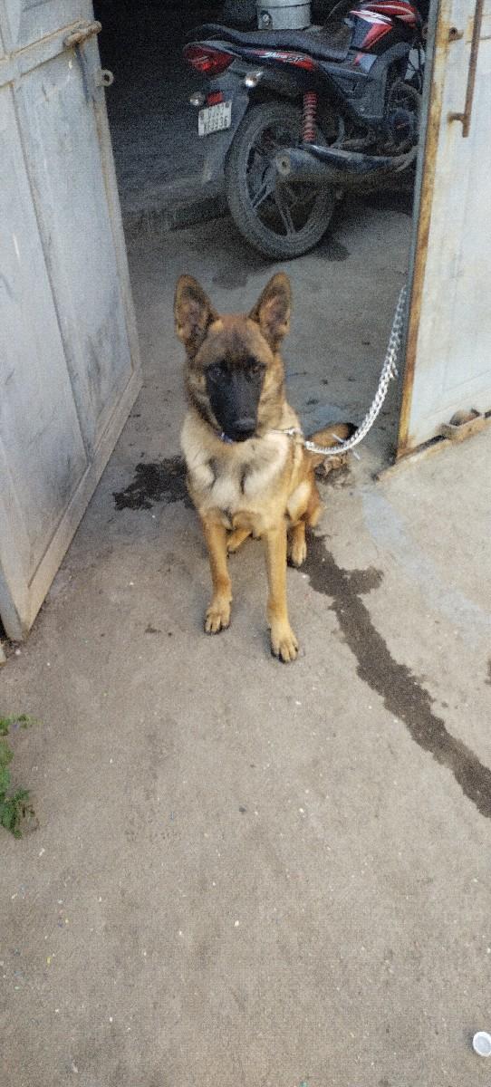 थंबनेल 2