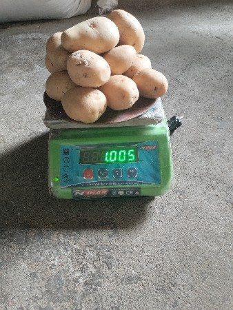 ઇલેક્ટ્રિક કાટો વેચવાનો સે