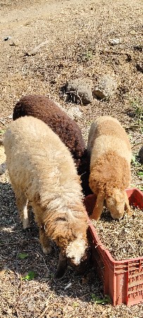 थंबनेल 3