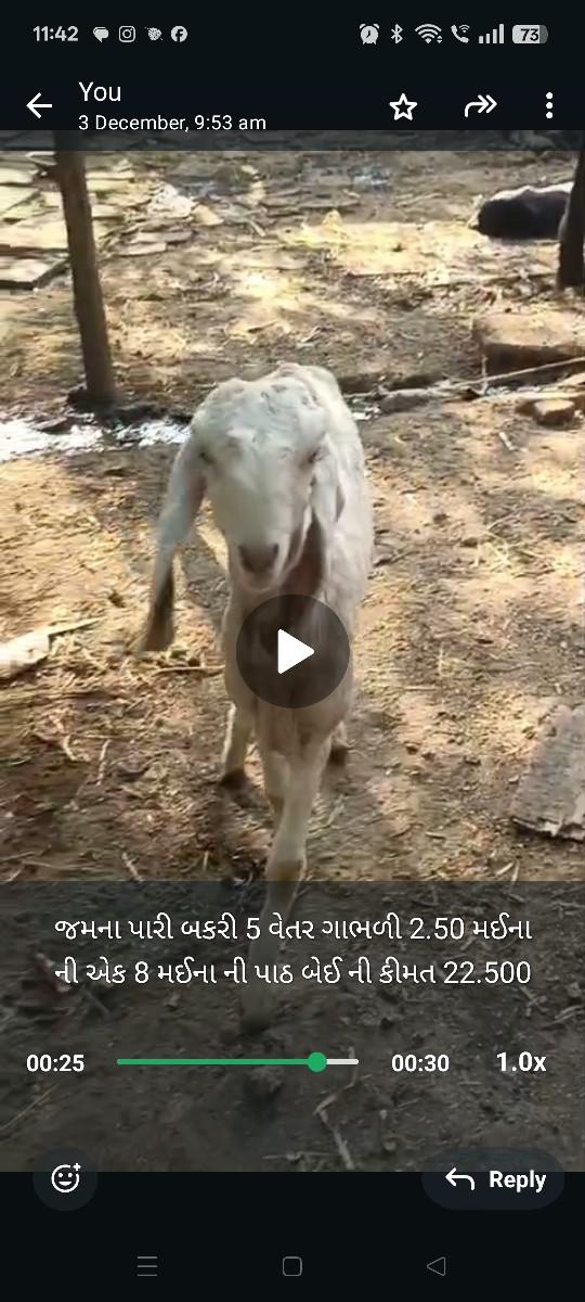 થંબનેલ 2