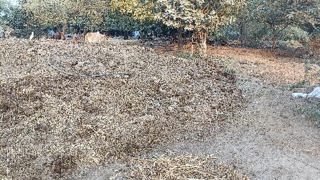 છાણીયું ખાતર