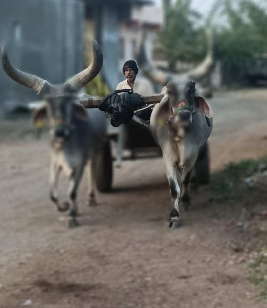 थंबनेल 2