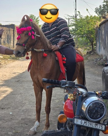 થંબનેલ 3