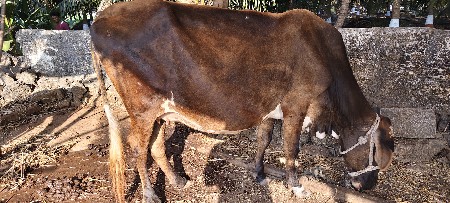 थंबनेल 2